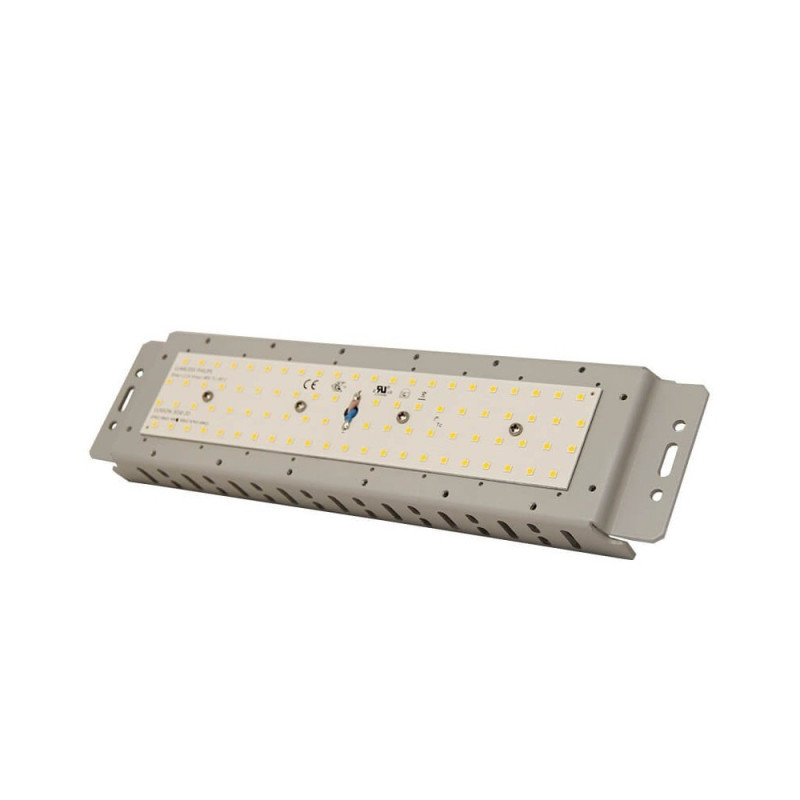 Proyector LED 50W Chip Bridgelux 180Lm/W 25º- 5 Años de garantía