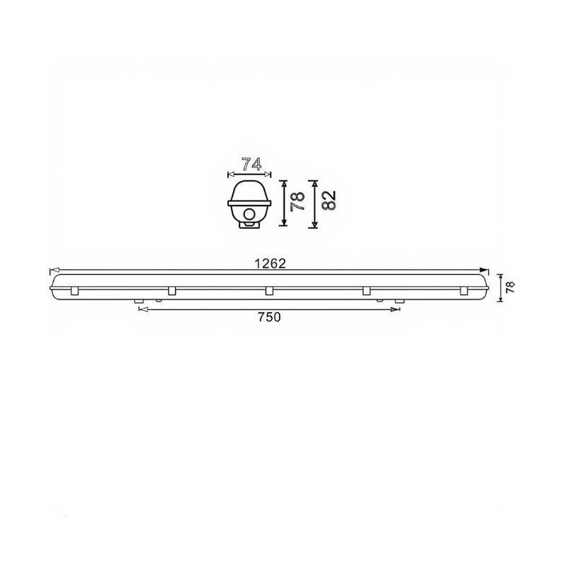 Pantalla estanca para un tubo de LED IP65 120cm