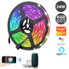 Tira LED 24W 12V SMART WiFi RGB+CCT - Regulable