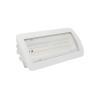 Luz Emergencia LED 4W + Auto-test + Kit Techo + Opción Luz Permanente - IP65