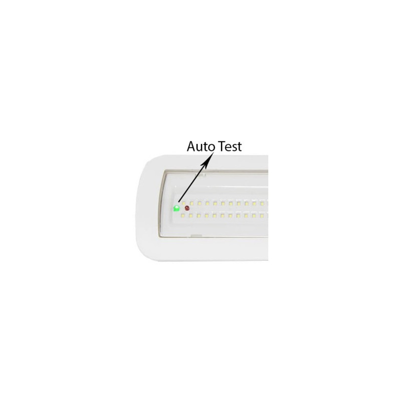 Luz Emergencia LED 4W + Auto-test + Kit Techo + Opción Luz Permanente - IP65