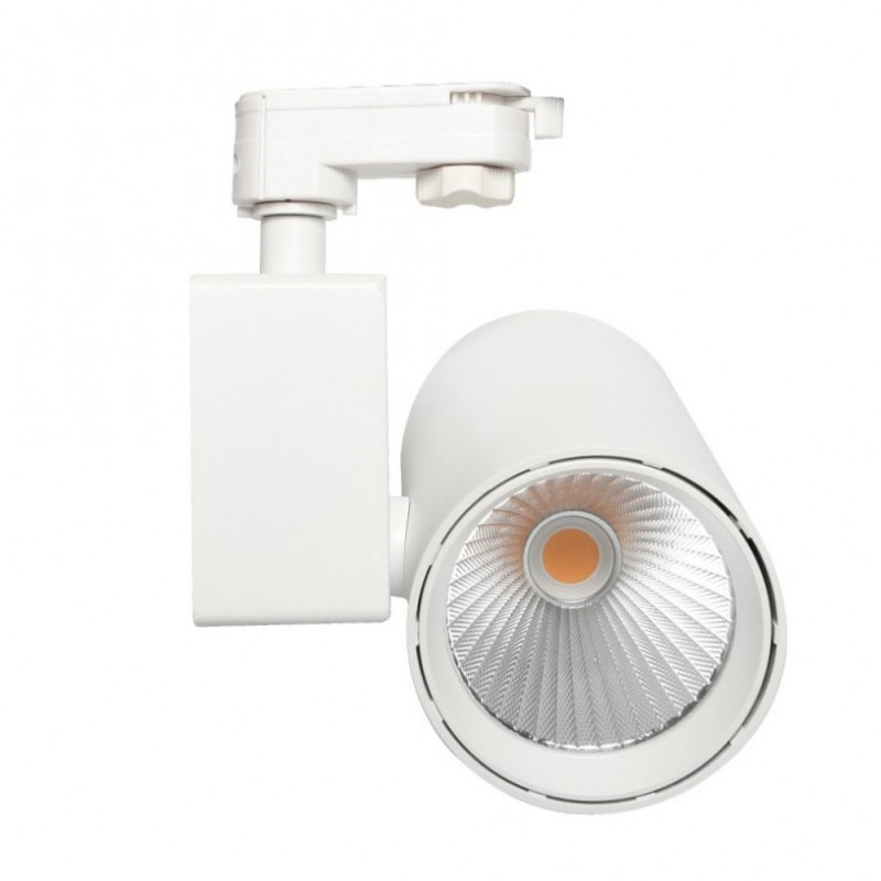 Foco LED 40W Driver PHILIPS Chip Bridgelux Blanco para Carril Monofásico Especial Pescadería