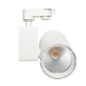 Foco LED 40W Driver PHILIPS Chip Bridgelux Blanco para Carril Monofásico Especial Pescadería