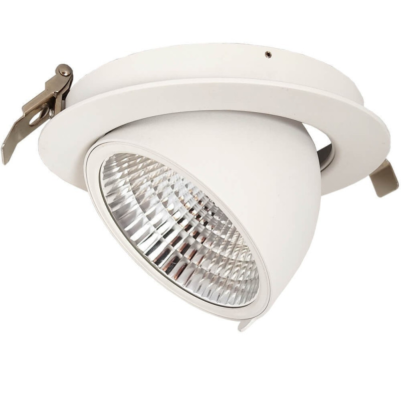 Downlight LED 30W Color Seleccionable Chip Bridgelux Driver Philips