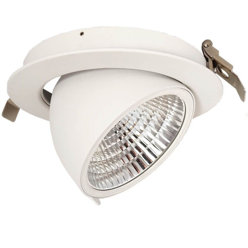 Downlight LED 30W Color Seleccionable Chip Bridgelux Driver Philips