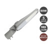 Farola LED 60W BRIDGELUX Chip 180lm/W- 5 Años de garantía