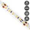 Tira LED 24V 10W/M GAMA PRO - 120 Led/Metro 130 Lm/W 50 metros - 3 años de garantia