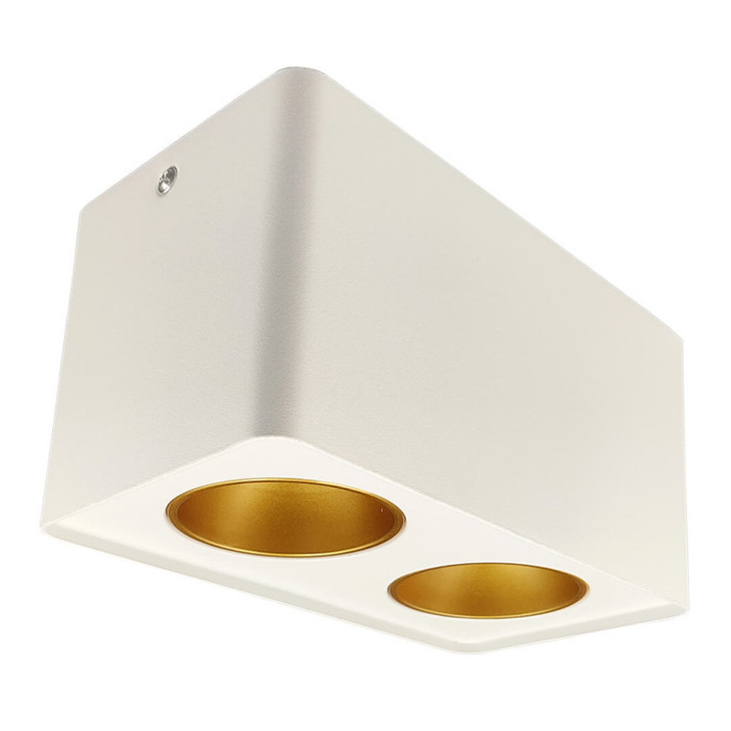Aplique de techo basculante Doble GU10 MR16