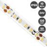 Tira LED 24V IP66 10W/M GAMA PRO 120 Led/Metro 50 metros - 3 años de garantia